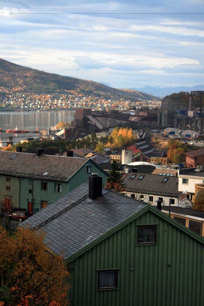 skadedyrkontroll Narvik