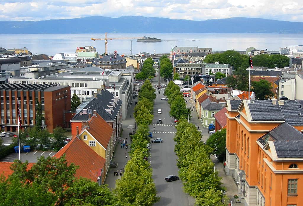 skadedyrkontroll Trondheim